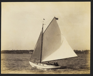 Sloop