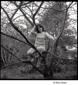 Lucy Simon