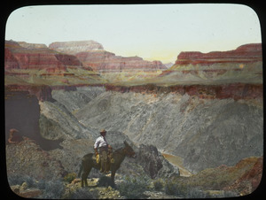 Man and mule overlooking the Grand Canyon