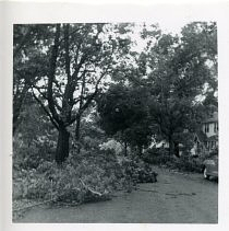 Hurricane Carol damage