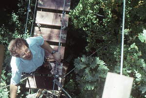 Canopy walkway 4. View down with Barthold "Bart" Bouricius from east end tower.