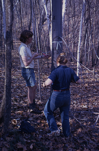 James H. Cornell '72 and Mary Swett '74 coring beech (Fagus grandifolia) in permanent plot 0925 in the Moon Lot.