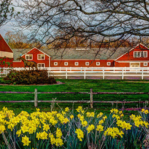 Equestrian Center, Smith College