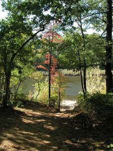 Paine Estate, Sudbury River