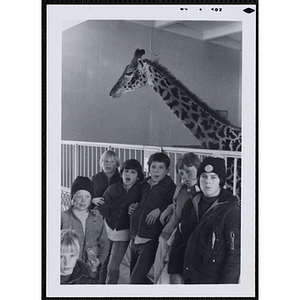 A group of boys poses with a giraffe at a zoo