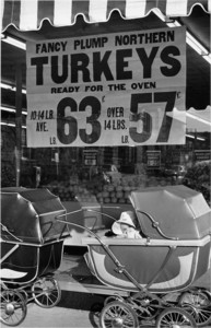 Turkeys, Boston, 1952