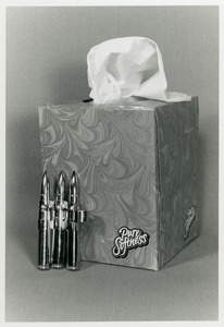 Tissue cube and bullets