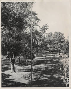 Flagpole and the American Flag Half Staffed