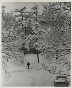 A wintery scene of Springfield College campus and the Naismith Green, ca. 1970