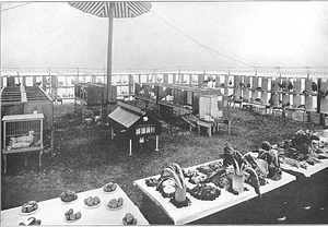 Vegetable and poultry show