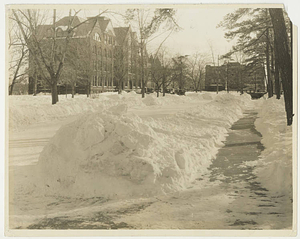 Springfield College Campus during a snow storm