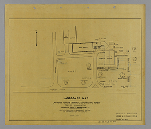 Buckley (Bulkley) Street Farm House landscape map