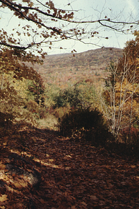 Taconic Range seen from east entrance to Moon - Primmer Lot.
