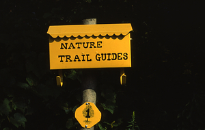 A Walk Along Debra Hall's Nature Trail: Stop 1. Trail Guide mailbox.